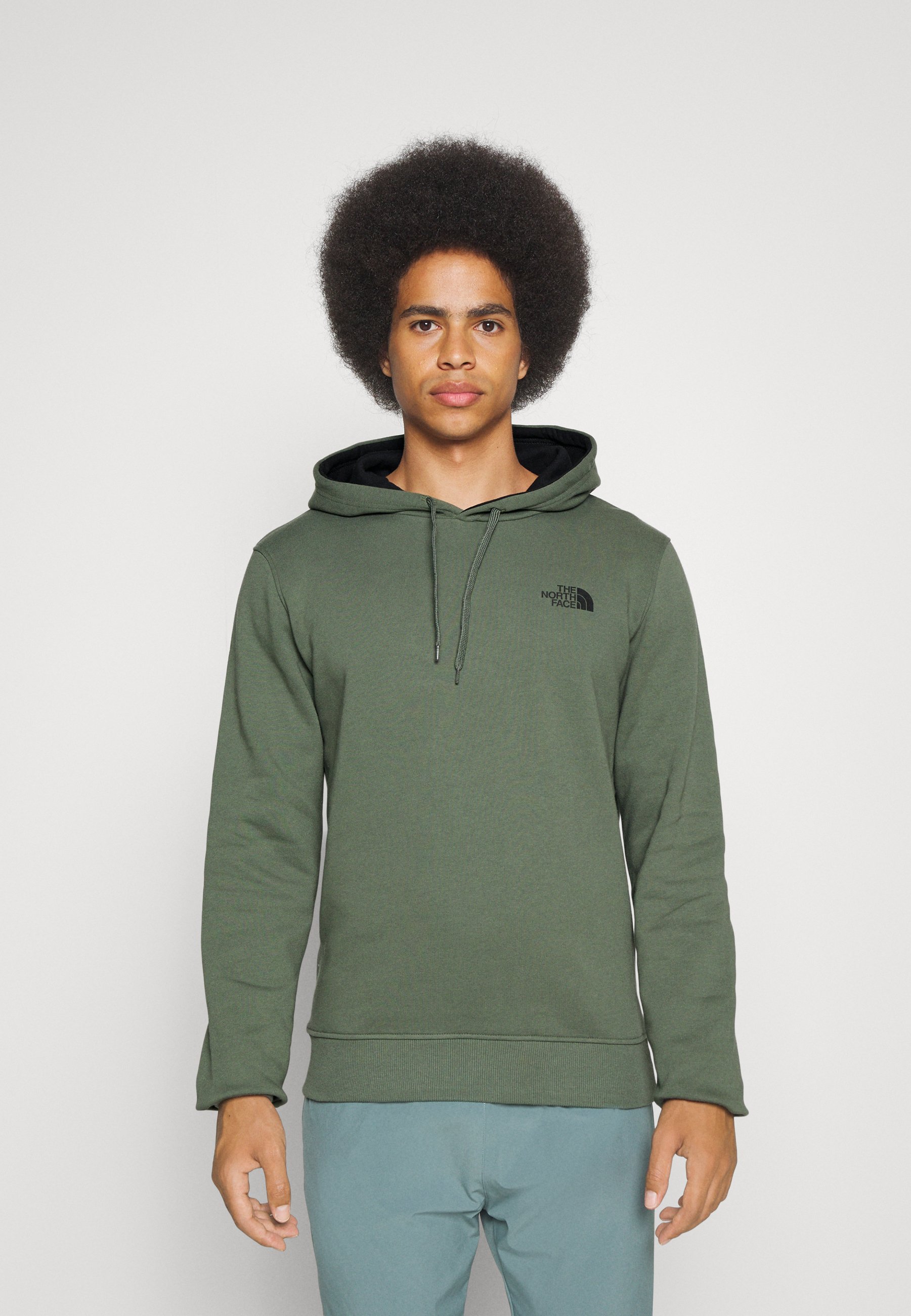 the north face seasonal drew peak pullover hoodie