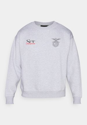 Gray sweatshirt made of cotton blend, featuring a round neck, ribbed cuffs, and printed graphics: "Ser" in black and red with a crest.