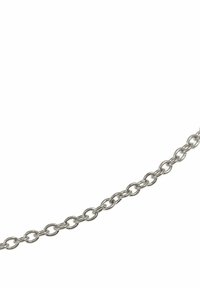 Catena in metallo silver con anelli ovali, texture liscia, spaziatura uniforme e superficie riflettente, su sfondo bianco.