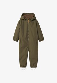 Nepasirinkta, sea turtle