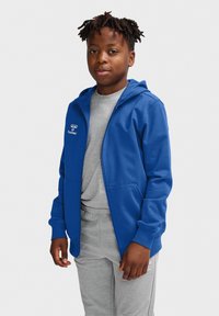Blaues Kapuzenshirt mit durchgehendem Reißverschluss, Fronttaschen und Logo auf der Brust, kombiniert mit einem hellgrauen Shirt und grauen Jogginghosen.