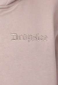Sweatshirt rose clair avec capuche, arborant le texte brodé « Dropsize » dans une police décorative. Texture de tissu douce, design minimaliste.