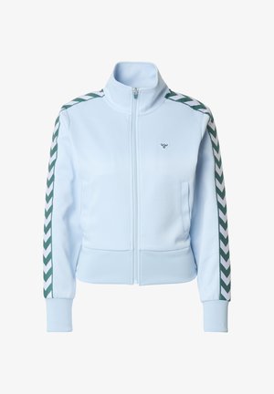 Hellblaue Reißverschlussjacke aus weichem Stoff, mit grünen und weißen Chevron-Streifen an den Ärmeln und einem kleinen Logo auf der Brust.