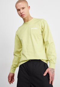Dickies TIMBERVILLE TEE - Hosszú ujjú felső - pale green