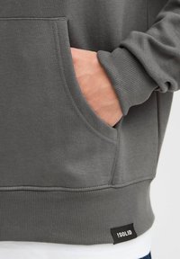 Solid SDHENNE - Zip-up sweatshirt - iron gate