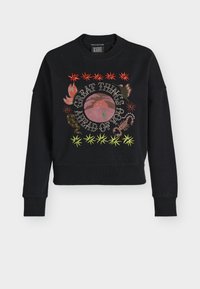 Επιλέχθηκε, meteorite