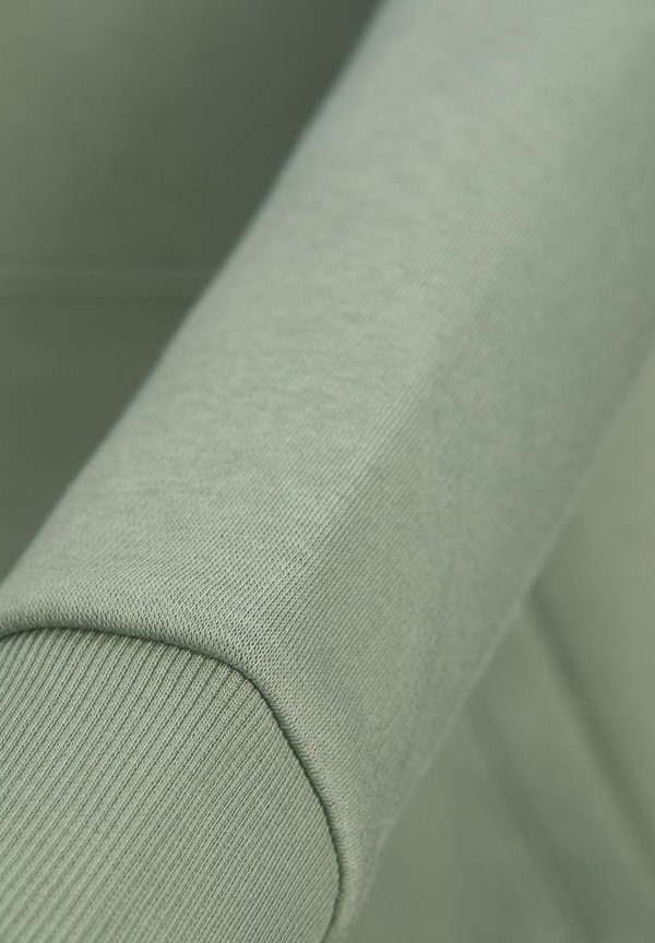 JJLUKE HOOD - Hoodie - grün2