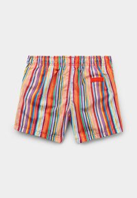 Kleurige gestreepte zwemshorts met verticale strepen in rood, oranje, geel, groen, blauw en paars. Elastische tailleband met zakdetail.