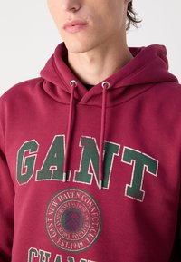Felpa cappuccio color bordeaux con testo grafico verde e bianco e stemma. Presenta lacci con punte in metallo e un tessuto morbido e testurizzato.