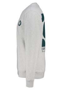 Gray sweatshirt with green logo and text on chest, ribbed cuffs and hem, round neck, soft texture, casual design.