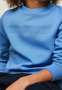 Lichtblauwe sweatshirt met ribbelnek en -manchetten, voorzien van een reliëf "HILFIGER" logo over de borst. Zachte textuur en een relaxte pasvorm.