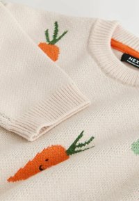 Strikket sweater i beige med en tekstureret finish. Har en orange gulerodsgrafik med grøn top. Ribstrikket halsudskæring og manchetter.