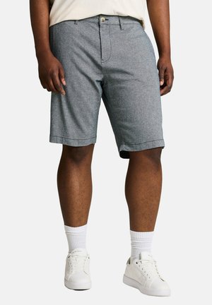 TOM TAILOR PLUS SIZE - CHINO SHORTS MIT STRETCH - Short - navy structure