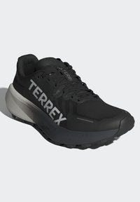 Crne trail trkaće cipele s teksturiranim gornjim dijelom, sivoj naglascima i istaknutim brendingom "TERREX". Imaju izdržljiv potplat za prianjanje.