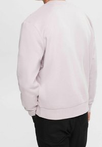 Sudadera rosa claro con cuello redondo, puños y dobladillo acanalados. Textura suave con un ajuste relajado. La vista trasera muestra un diseño liso sin adornos.