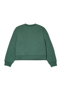 Felpa verde con collo a giro. Polsini e orlo a costine. Texture liscia con un design semplice, senza fantasie o dettagli.