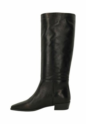 Bottes en cuir noir montantes avec un bout pointu, un talon bloc bas et une texture lisse, présentant un design simple et classique.