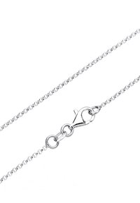 Collier chaîne en argent avec de petits maillons ronds et un fermoir en forme de pince de homard sur fond blanc.