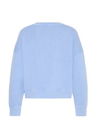 Lichtblauwe trui met ronde hals en lange mouwen, voorzien van geribbelde manchetten en zoom, gezien van achteren tegen een witte achtergrond.