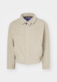 JORBRONX HARRINGTON JACKET - Giacca leggera - silver sage