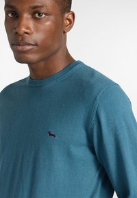 Tropfblauer Rundhalspullover aus weichem Material, mit einem kleinen, dunkelroten, gestickten Hundelogo auf der linken Brustseite.