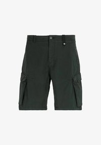 Pasirinkta, dark green