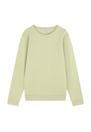 Lichtgroene sweatshirt van zacht materiaal, met een ronde hals, geribbelde manchetten en een minimalistisch logo op de borst. Eenvoudig ontwerp.