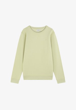 Lichtgroene sweatshirt van zacht materiaal, met een ronde hals, geribbelde manchetten en een minimalistisch logo op de borst. Eenvoudig ontwerp.