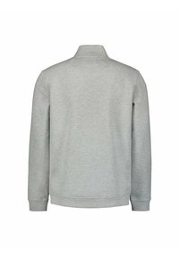 Grijze sweatshirt met een kraag, lange mouwen en geribde manchetten. Zachte textuur met een eenvoudig ontwerp en geen zichtbare logo's of patronen.