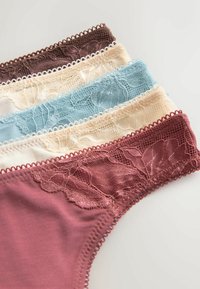 Lot de cinq culottes pour femmes bordées de dentelle en marron, beige, bleu, crème et mauve, disposées en chevauchement sur une surface blanche.