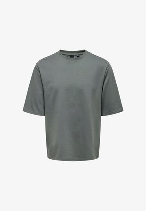 Graues übergroßes T-Shirt aus leichtem Baumwollstoff, mit Rundhalsausschnitt und kurzen Ärmeln, glatter Textur und minimalistischem Design.