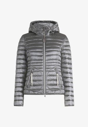 Giacca a vento argento con cappuccio, dotata di cuciture orizzontali, due tasche con zip e chiusura frontale con zip. Texture liscia, design leggero.