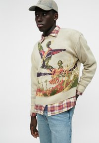 Pull en tricot avec une base beige, arborant un motif de canard coloré. Superposé à une chemise à carreaux avec des tons rouges, jaunes et verts.