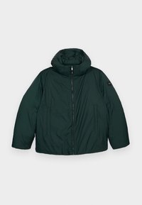 Valgt, midnight forest