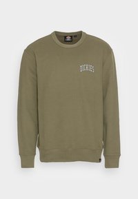 Felpa verde oliva in morbido cotone, con polsini e fondo a costine, con la scritta "DICKIES" ricamata in bianco sul petto.