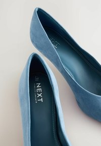 Bailarinas de ante azul claro con puntera afilada y laterales bajos. El interior cuenta con un forro azul suave y un logo de marca. Hardware mínimo.