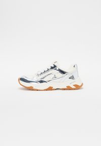 SNEAK PEAK - Sneakers laag - silver