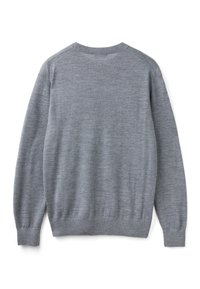 Maglione grigio a maniche lunghe, realizzato in morbido materiale lavorato a maglia, presenta un collo rotondo, polsini e orlo ribattuti, con una texture uniforme e liscia in tutto il capo.
