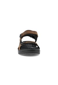 ECCO OFFROAD - Vandringssandaler - brown