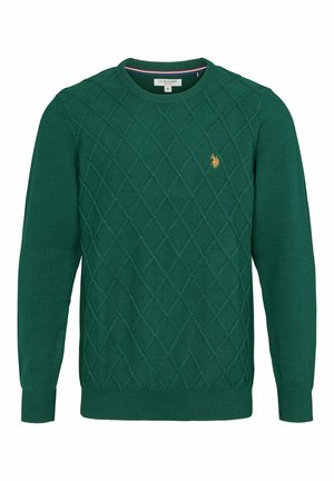 Groene gebreide trui met een ruitpatroon, ronde hals, geribde manchetten en zoom. Geborduurd logo in goud op de borst.