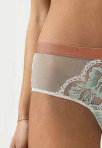 Kantene ondergoed met een doorschijnend lichtblauw gaas en bloemenborduursel met een contrasterende bruine tailleband, die delicate details en textuur toont.