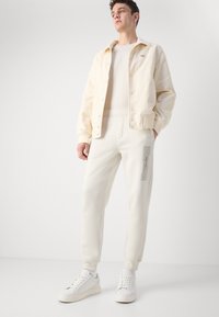 Calvin Klein HORIZONTAL LOGO SWEATPANTS - Treniņtērpa apakšdaļas - silver birch