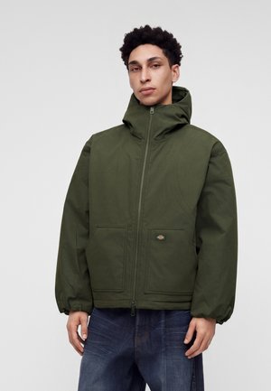 Dickies, SAFFORD HOODED PUFFER - Зимно яке - deep depths