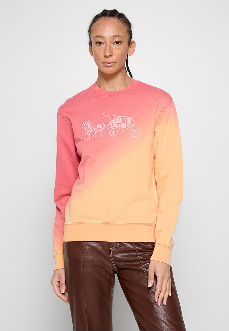 Coach Sweater meerkleurig