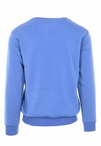 Felpa blu con maniche lunghe, polsini a costine e scollatura a girocollo. Tessuto morbido con una superficie liscia e senza grafiche o motivi visibili.