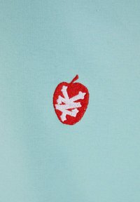Lyseblått stoff med design av et rødt eple og et hvitt snøfnuggmønster brodert i midten.