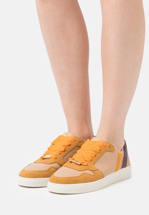 LAURITE - Sneakers laag - braun