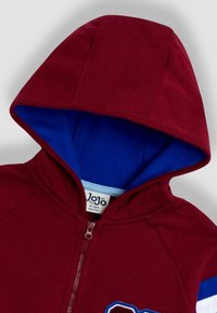 Hanorac roșu cu fermoar, cu căptușeală interioară albastră, dotat cu glugă și un design brodat proeminent pe față. Fabricat dintr-un material moale și texturat.