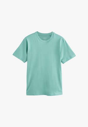 Mintgrön bomulls-t-shirt med en klassisk rund halsringning och korta ärmar, med en mjuk textur och rak skärning, utan mönster eller dekorationer.