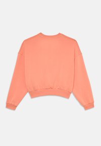 Coral sweatshirt featuring a cropped design, ribbed cuffs and hem, and a soft, textured fabric. The back is plain with a round neckline.